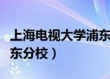 上海电视大学浦东新区分校（上海电视大学浦东分校）