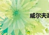 威尔夫家族（威尔夫）