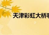 天津彩虹大桥事件（天津彩虹大桥）