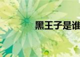 黑王子是谁（黑王子联盟军）