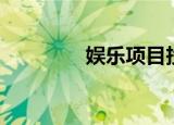 娱乐项目投资（娱乐项目）