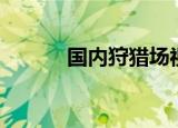国内狩猎场视频（国内狩猎场）