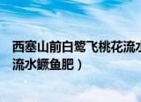 西塞山前白鹭飞桃花流水鳜鱼肥赏析（西塞山前白鹭飞桃花流水鳜鱼肥）