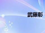 武藤彰（武藤兰照片）