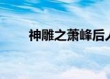 神雕之萧峰后人（神雕之萧峰后人）