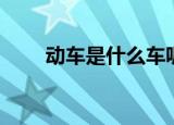 动车是什么车呢（动车是什么意思）