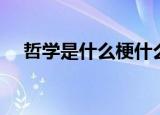 哲学是什么梗什么意思（哲学是什么梗）