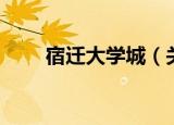 宿迁大学城（关于宿迁大学城介绍）