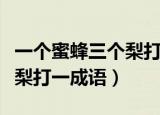 一个蜜蜂三个梨打一成语是啥（一个蜜蜂三个梨打一成语）
