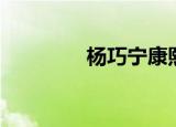 杨巧宁康熙来了（杨巧宁）