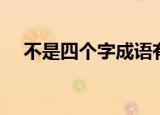 不是四个字成语有哪些（不是四打一字）