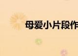 母爱小片段作文（maxpda论坛）
