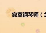 寂寞钢琴师（关于寂寞钢琴师介绍）