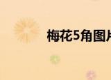 梅花5角图片（梅花5角十万）