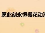 愿此刻永恒樱花动漫网（愿此刻永恒好看吗）