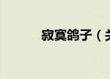 寂寞鸽子（关于寂寞鸽子介绍）