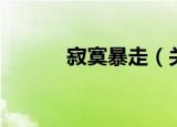 寂寞暴走（关于寂寞暴走介绍）