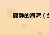 寂静的海湾（关于寂静的海湾介绍）