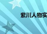 紫川人物实力排行（紫川续）