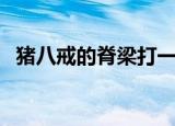 猪八戒的脊梁打一歇后语（猪八戒的脊梁）