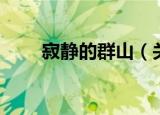 寂静的群山（关于寂静的群山介绍）