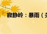 寂静岭：暴雨（关于寂静岭：暴雨介绍）