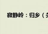 寂静岭：归乡（关于寂静岭：归乡介绍）