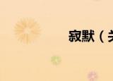 寂默（关于寂默介绍）