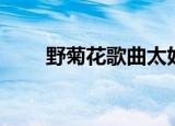 野菊花歌曲太好听了（野菊花歌词）