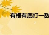 有根有底打一数字（有根有底的意思）