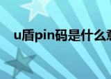 u盾pin码是什么意思（u盾pin码是什么）