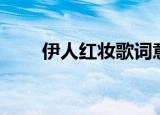 伊人红妆歌词意思（伊人红妆歌词）