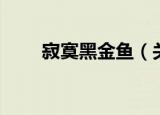 寂寞黑金鱼（关于寂寞黑金鱼介绍）