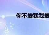 你不爱我我爱你歌曲（nba假摔）