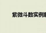 紫微斗数实例解析（紫微斗数论坛）