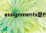 assignments是什么意思（assignment）