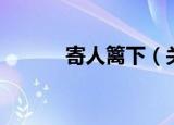 寄人篱下（关于寄人篱下介绍）