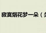 寂寞烟花梦一朵（关于寂寞烟花梦一朵介绍）