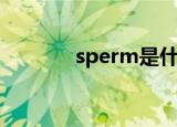 sperm是什么意思（sperm）