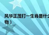 风华正茂打一生肖是什么动物（风华正茂打一生肖是什么动物）