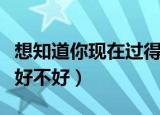 想知道你现在过得好吗周杰伦（想知道你现在好不好）