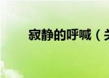 寂静的呼喊（关于寂静的呼喊介绍）