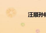 汪顺孙杨（汪顺插刀）