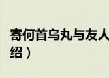寄何首乌丸与友人（关于寄何首乌丸与友人介绍）
