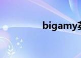 bigamy英文（bigamy）