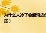 为什么人冷了会起鸡皮疙瘩（人冷的时候为什么会起鸡皮疙瘩）
