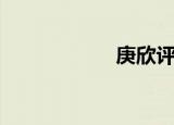 庚欣评论员（庚欣）