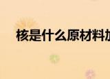 核是什么原材料加工出来的（核是什么）