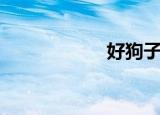 好狗子（好狗出更）