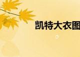凯特大衣图片（凯特大改版）